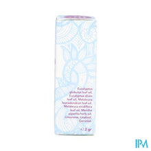 Load image into Gallery viewer, Sjankara Eucalyptus Synergie Inhaler 2g
