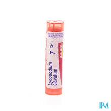 Afbeelding in Gallery-weergave laden, Lycopodium Clavatum 7ch Gr 4g Boiron
