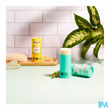 Afbeelding in Gallery-weergave laden, Weleda Deo Stick 24h Eucalyptus & Peppermint 50g
