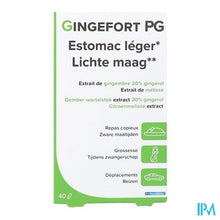 Load image into Gallery viewer, Gingefort Pg Pharmagenerix Caps 40
