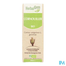 Afbeelding in Gallery-weergave laden, Herbalgem Kornoelje Maceraat 50ml
