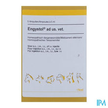 Load image into Gallery viewer, Engystol N Ad Us.vet Amp 5x5,0ml
