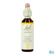 Afbeelding in Gallery-weergave laden, Bach Flower Remedie 12 Gentian 20ml
