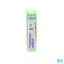 Afbeelding in Gallery-weergave laden, Podophyllum Peltatum 5ch Gr 4g Boiron
