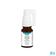 Afbeelding in Gallery-weergave laden, A.vogel Oorpijn Spray 7ml
