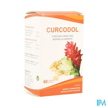 Load image into Gallery viewer, Soria Curcodol Caps 60
