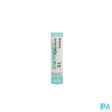 Afbeelding in Gallery-weergave laden, Blatta Orientalis 15ch Gr 4g Boiron

