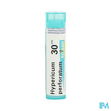 Load image into Gallery viewer, Hypericum Perforatum 30ch Gr 4g Boiron
