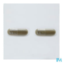 Load image into Gallery viewer, Arkocaps Ginkgo Biloba Plantaardig 45
