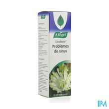 Charger l'image dans la galerie, A.Vogel Cinuforce Neusspray 20ml
