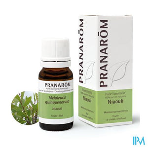 Niaouli Melaleuca Quinq Cin.ess Olie 10ml Pranarom