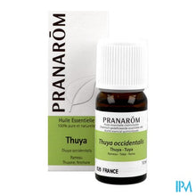 Load image into Gallery viewer, Pranarom Eo Thuya 10ml
