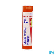 Calcarea Carbonica Ostrearum 7ch Gr 4g Boiron