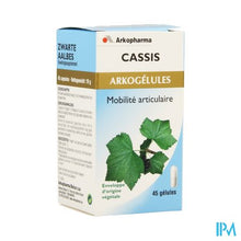 Load image into Gallery viewer, Arkocaps Zwarte Aalbes Plantaardig 45 Cfr 4137857
