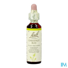 Afbeelding in Gallery-weergave laden, Bach Flower Remedie 07 Chestnut Bud 20ml
