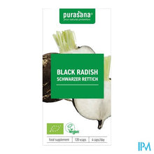 Load image into Gallery viewer, Purasana Rammenas 300mg Bio V-caps 120
