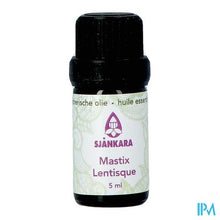 Load image into Gallery viewer, Sjankara Mastix Ess. Olie Bio 5ml
