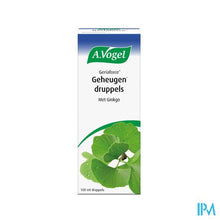 Load image into Gallery viewer, A.Vogel Geriaforce 100ml
