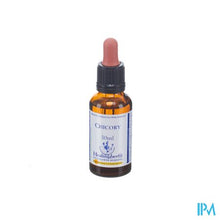 Afbeelding in Gallery-weergave laden, Healing Herbs Chicory 30ml
