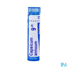 Load image into Gallery viewer, Capsicum Annuum 9ch Gr 4g Boiron
