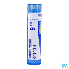 Afbeelding in Gallery-weergave laden, Anacardium Orientale 9ch Gr 4g Boiron
