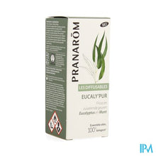 Load image into Gallery viewer, Pranarom Les Diffusables Eucalypur 30ml
