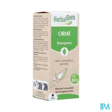 Afbeelding in Gallery-weergave laden, Herbalgem Olm Bio 30ml

