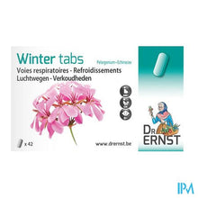 Load image into Gallery viewer, Dr Ernst Winter tabs 42 Tabl
