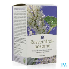 Load image into Gallery viewer, Resveratrol-posome V-caps 60
