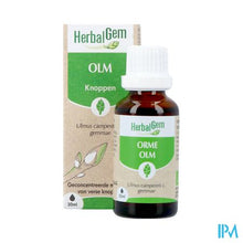 Afbeelding in Gallery-weergave laden, Herbalgem Olm Bio 30ml
