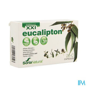 Soria 26c Eucalipton Xxi Caps 30