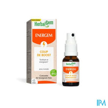 Load image into Gallery viewer, Herbalgem Energem Energieboost Spray 15ml

