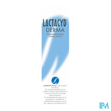 Load image into Gallery viewer, Lactacyd Derma Wasemuls Z/zeep 250ml

