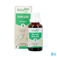 Load image into Gallery viewer, Herbalgem Populier Bio 30ml
