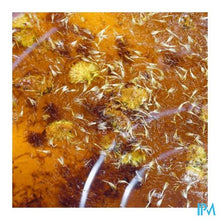 Afbeelding in Gallery-weergave laden, Arnica Plantaardige Olie Bio Spray 50ml
