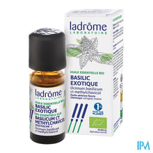 Load image into Gallery viewer, Ladrome Basilicum Ct Methylchl./basilicum Ex. 10ml
