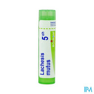 Lachesis Mutus 5ch Gr 4g Boiron