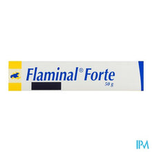 Afbeelding in Gallery-weergave laden, Flaminal Forte Tube 50g
