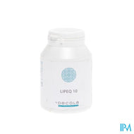 Lipeq 10 Gel 60