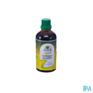 Phytobell Crataegus Laevigata Ue Gutt 100ml