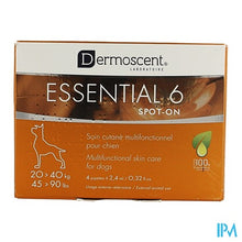 Load image into Gallery viewer, Essential 6 Spot-on Hond 20-40kg Pipet 4x2,4ml
