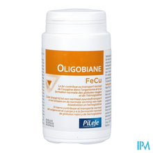 Loading image in Gallery view, Oligobiane Fe Cu Gel 90x440mg
