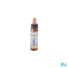 Afbeelding in Gallery-weergave laden, Healing Herbs Mimulus 10ml
