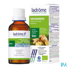 Afbeelding in Gallery-weergave laden, Ladrome Zingiber Officinalis/gember 50ml
