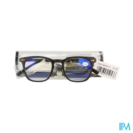 Pharmaglasses Visionblue Pc02 Leesbril +2.50 Brown