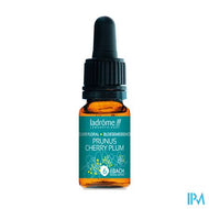 Ladrome Kerspruim/cherry Plum 10ml