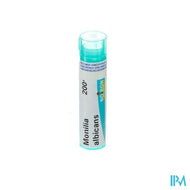 Monilia Albicans 200k Gr 4g Boiron