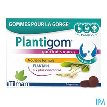 Charger l'image dans la galerie, Plantigom Gummies 24 Nf
