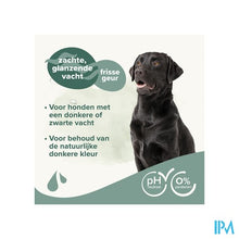 Afbeelding in Gallery-weergave laden, Beaphar Shampoo Zwarte Vacht 250ml
