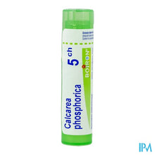 Afbeelding in Gallery-weergave laden, Calcarea Phosphorica 5ch Gr 4g Boiron
